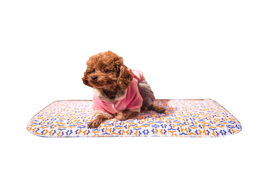 How To Choose The Best Puppy Pee Pad