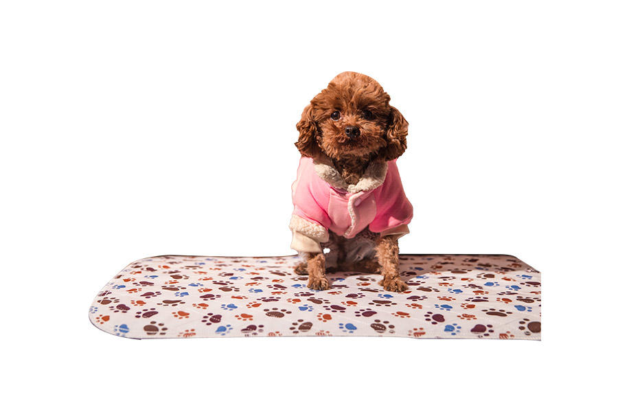 Warp Knitted Fabric PVC Waterproof Puppy Pee Pad