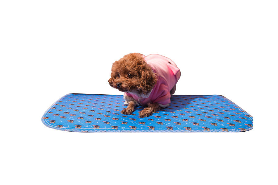 Digital Printing Plaid weave fabric Puppy Pee Pad