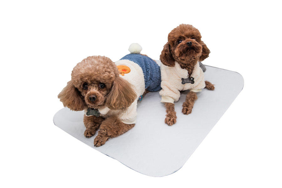 Plain Warp Knitted Fabric Dog Pee Pad