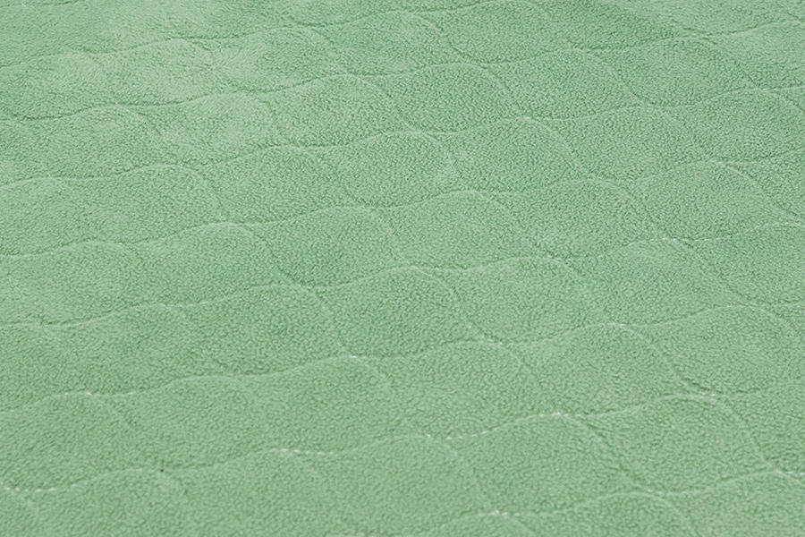Polar Fleece Absorbent-green Puppy Pee Pad